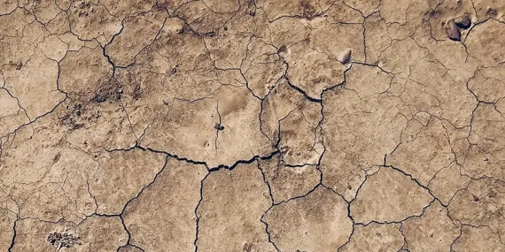  What defines a Drought? Types, Impacts and Financial Realities