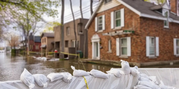 Asset Adaptation to Changing Flood Risk