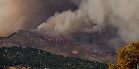 Heatwave Havoc: The Summer of Global Infernos