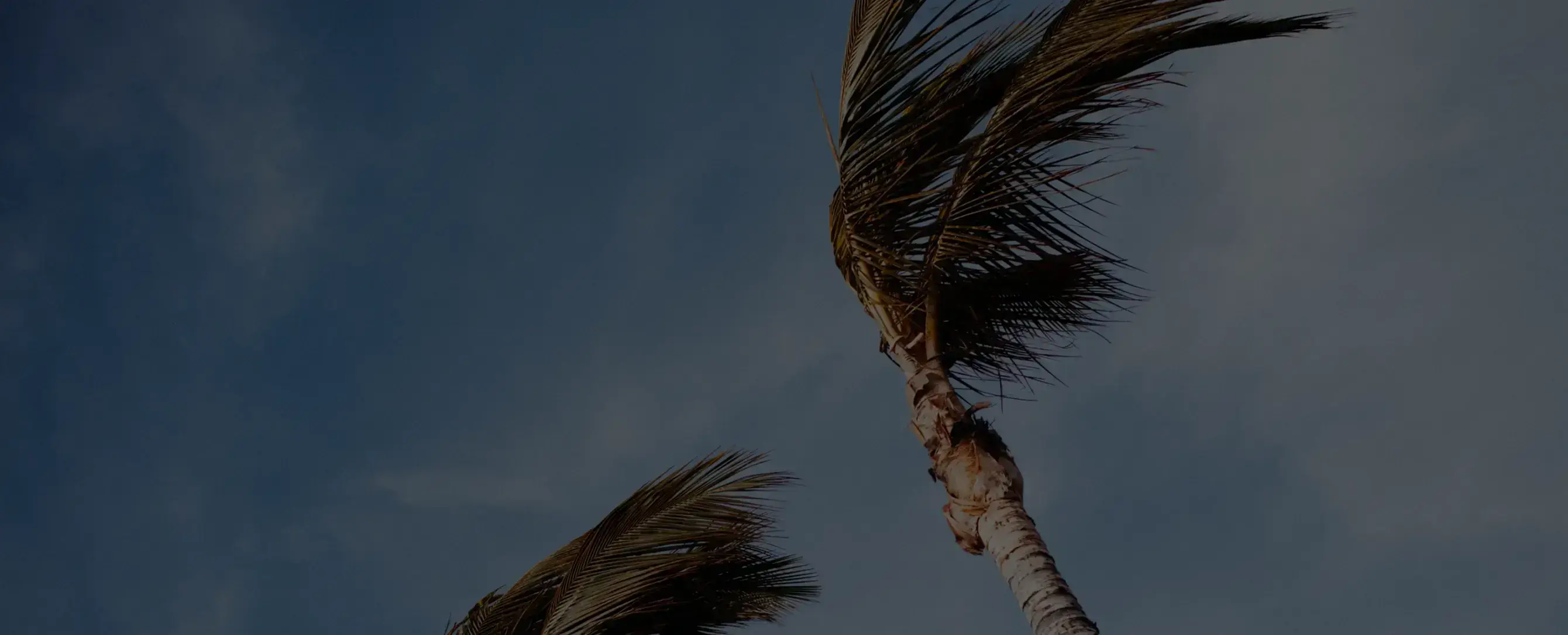 Gone With The Wind: US Tropical Cyclone Risks