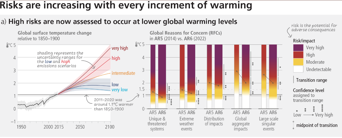 Reasons for Concern as assessed in IPCC WGII AR6 