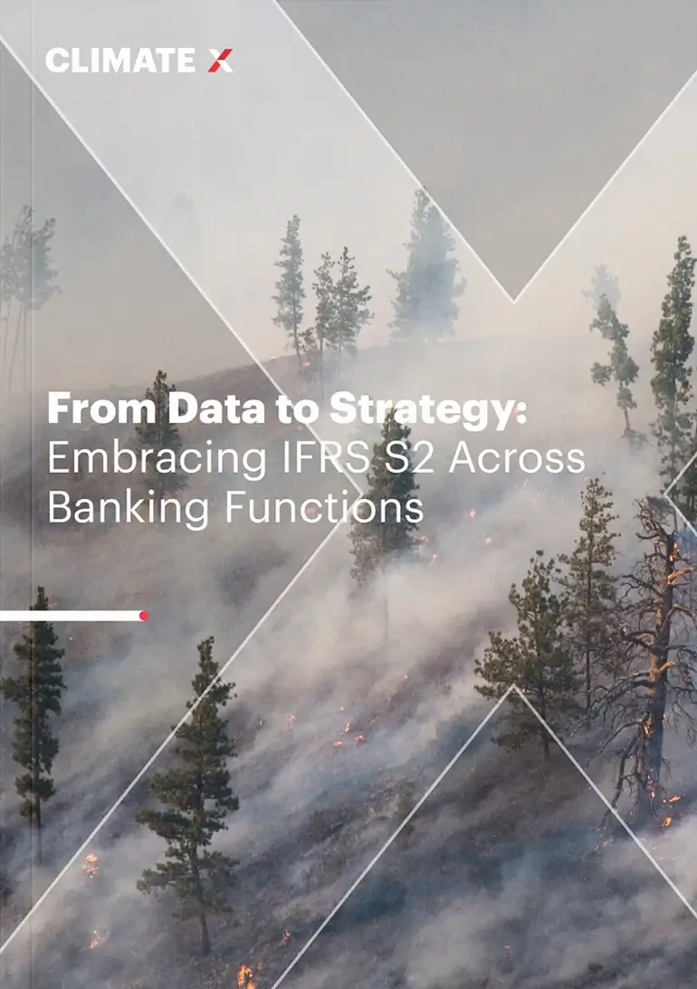 From Data to Strategy: Embracing IFRS S2 Across Banking Functions