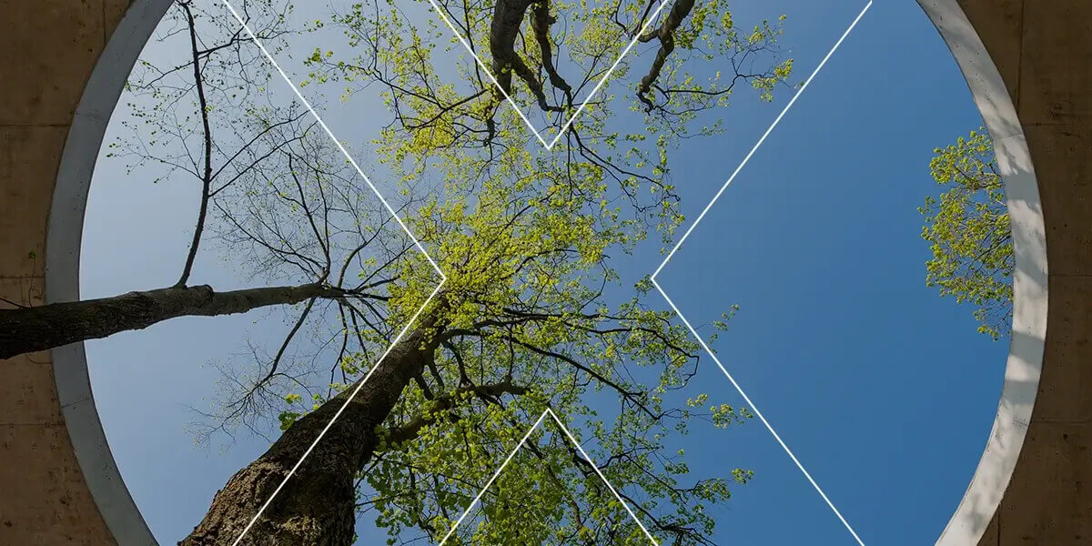 Triodos Bank and Climate X join forces to meet Regulatory Demands and drive Climate Resilience