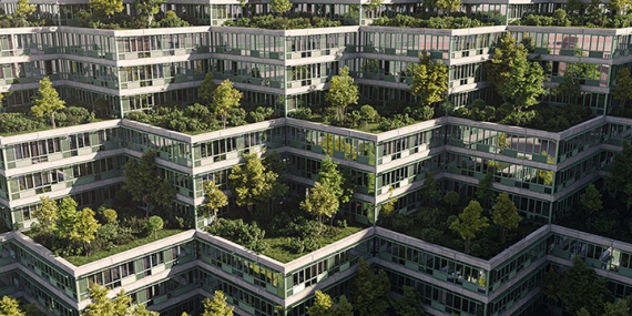 4 Ways Banks can approach Adaptation in Sustainable Lending