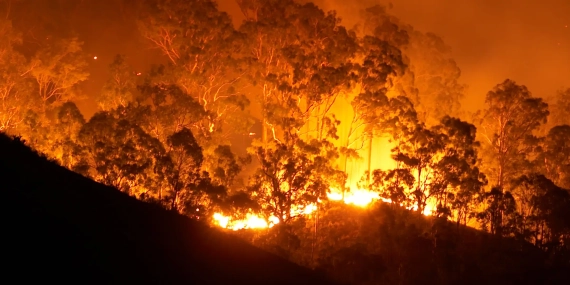 Climate X Launches Global, Asset-Level Wildfire Model, Resolved to 30m