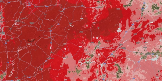 An Introduction to Wildfire Risk Modeling: From Burn Probability to Financial Loss