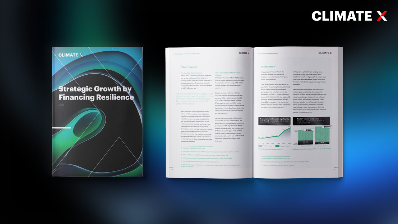 Driving Strategic Growth Through Climate Resilience Finance
