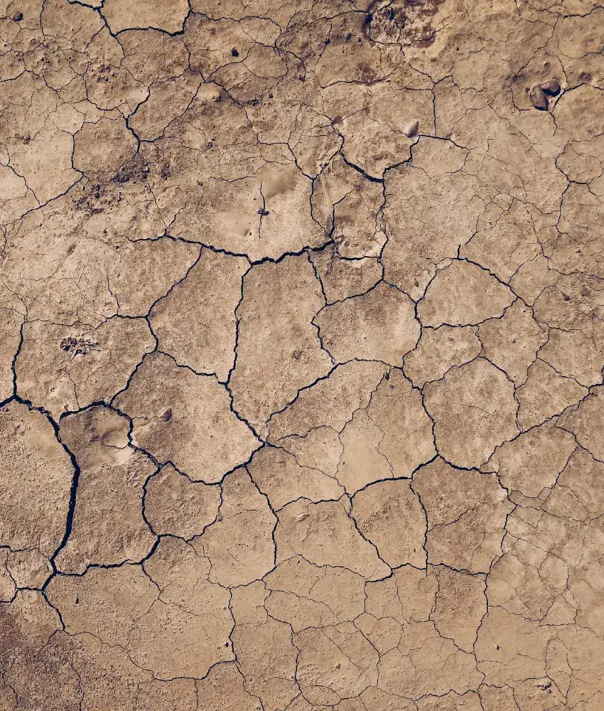 Climate Data Analytics